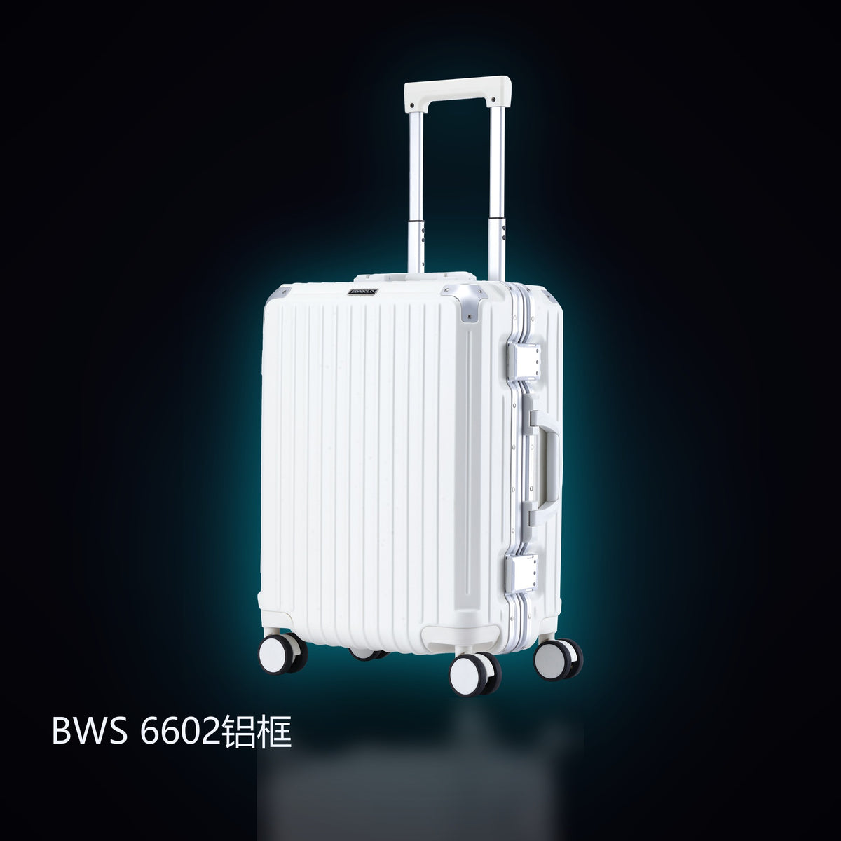 BWS 6602 Aluminum-Frame Trolley Case