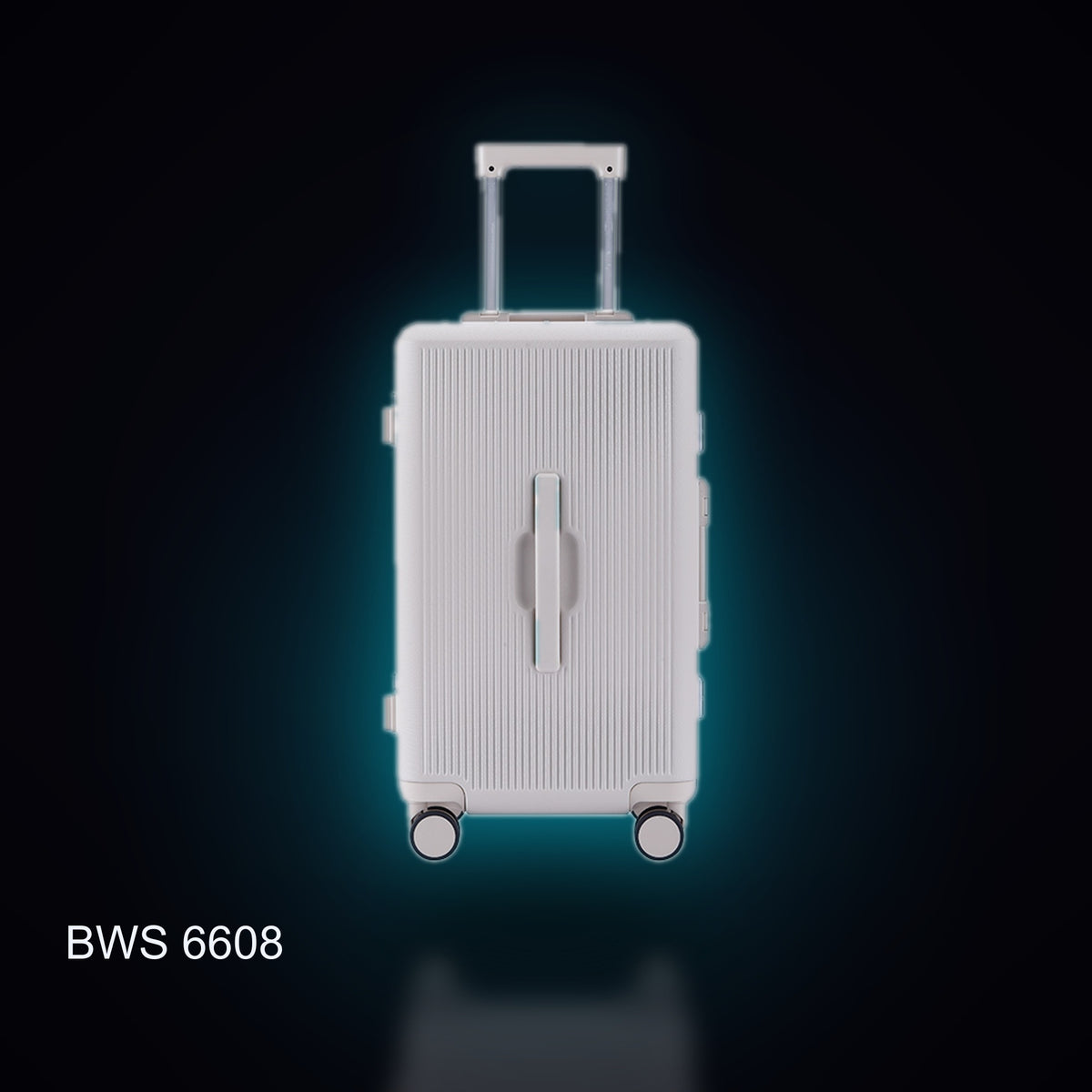BWS 6608 Aluminum-Frame Trolley Case